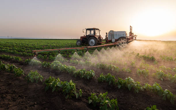 Best Pest Removal Services  in Stockton, UT