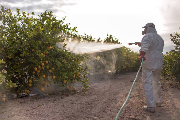 Stockton, UT Pest Control Company