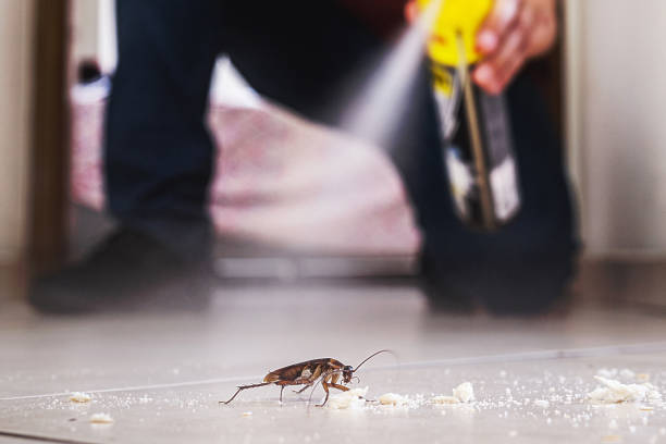 Best Commercial Pest Control Services  in Stockton, UT